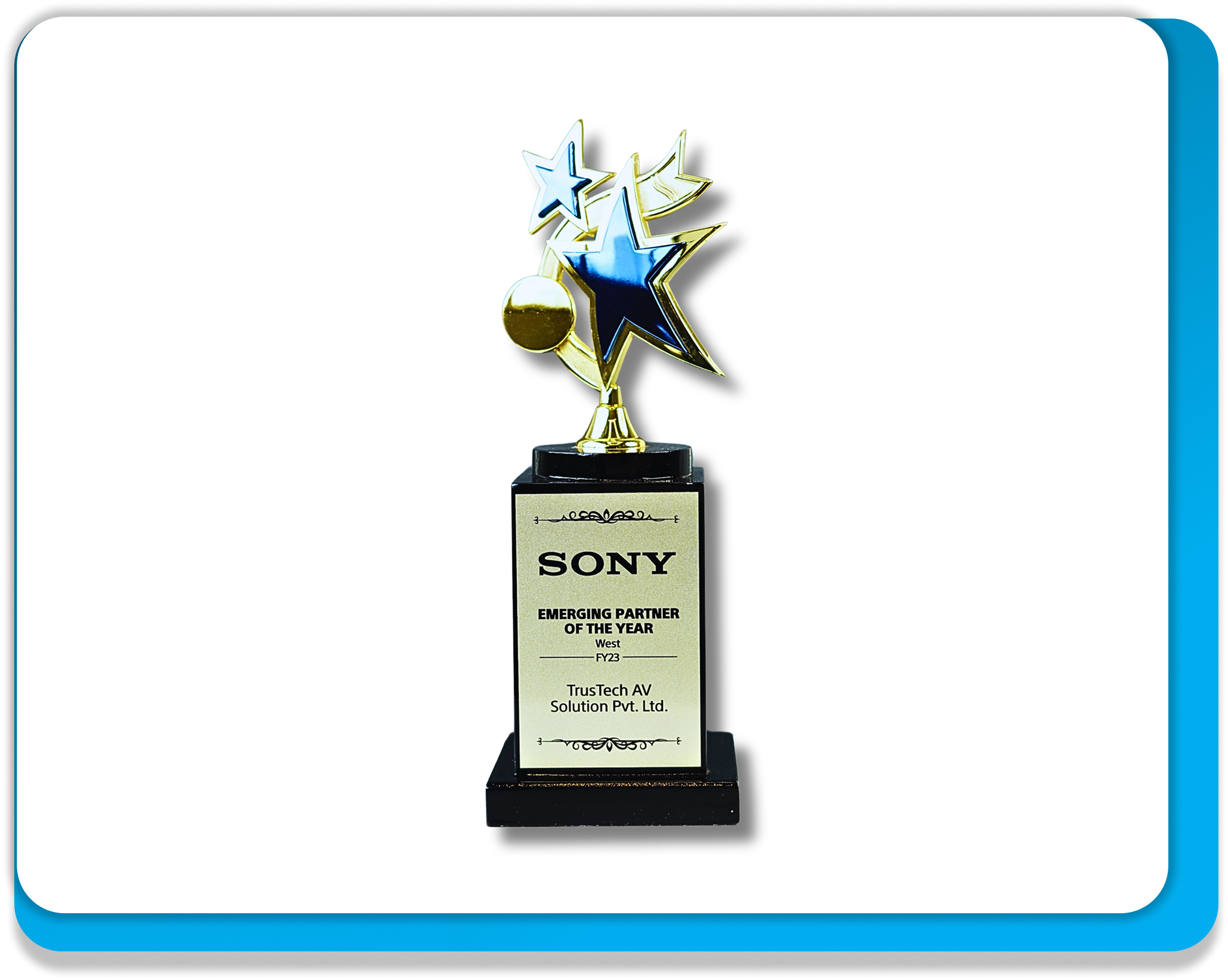 Sony, Emerging Partner (West)